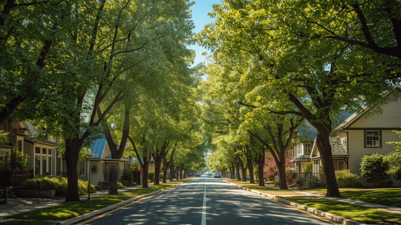 Tree-lined residential street in Kelowna on a sunny day